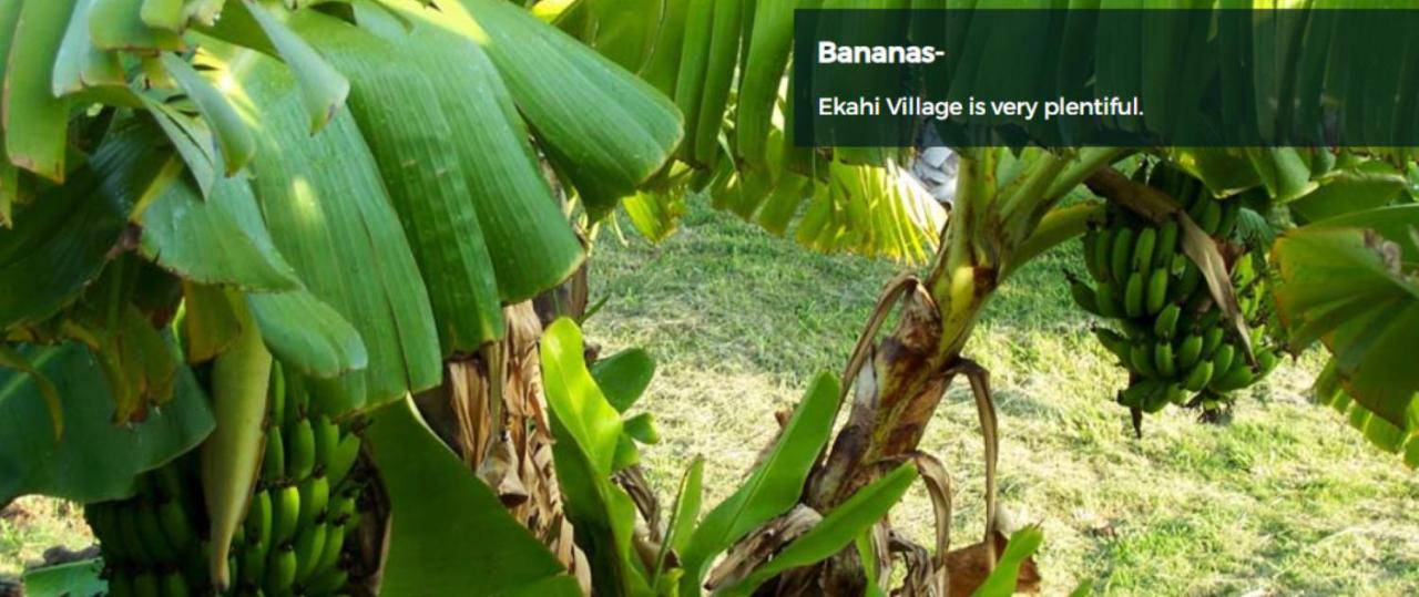 9B Ekahi Village-Studio Bath, Garden View - 1 Minute Stroll To Beach! Wailea  Esterno foto